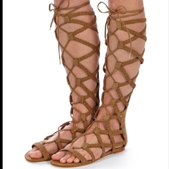 tall gladiator sandals steve madden